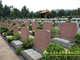 云南树葬公墓多少钱？